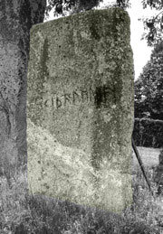 Östergötlands äldsta runsten på Skärkinds kyrkogård, runskriften ”skiþaleubaR” betyder sannolikt ”Leubar vid tingshägnaden”.