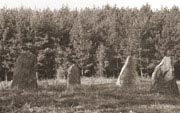 Järnåldersgravfält vid Hjärterum, Vikbolandet. De äldsta gravarna är närmast vägen.