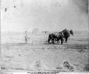 man och två hästar plöjer mark. Nord Dakota 1894.