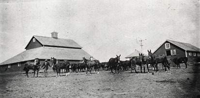 Lantbruk i Pender, Nebraska som byggts upp och brukats av en Kisabo omkr. 1900.  Han arrenderade jorden av indianerna.