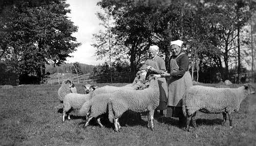 Fårskötsel. Systrarna Julianna och Johanna i Torsult sköter om sina får. Fåren var en viktig del av jordbruket då de gav både mat och kläder.