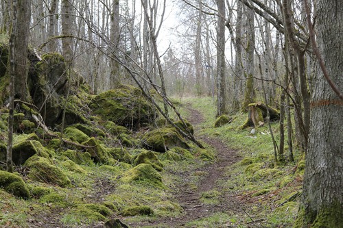 Led till Borggården