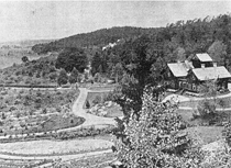 Norrvikens trädgårdar 1898. Foto: Östergötlands länsmuseum